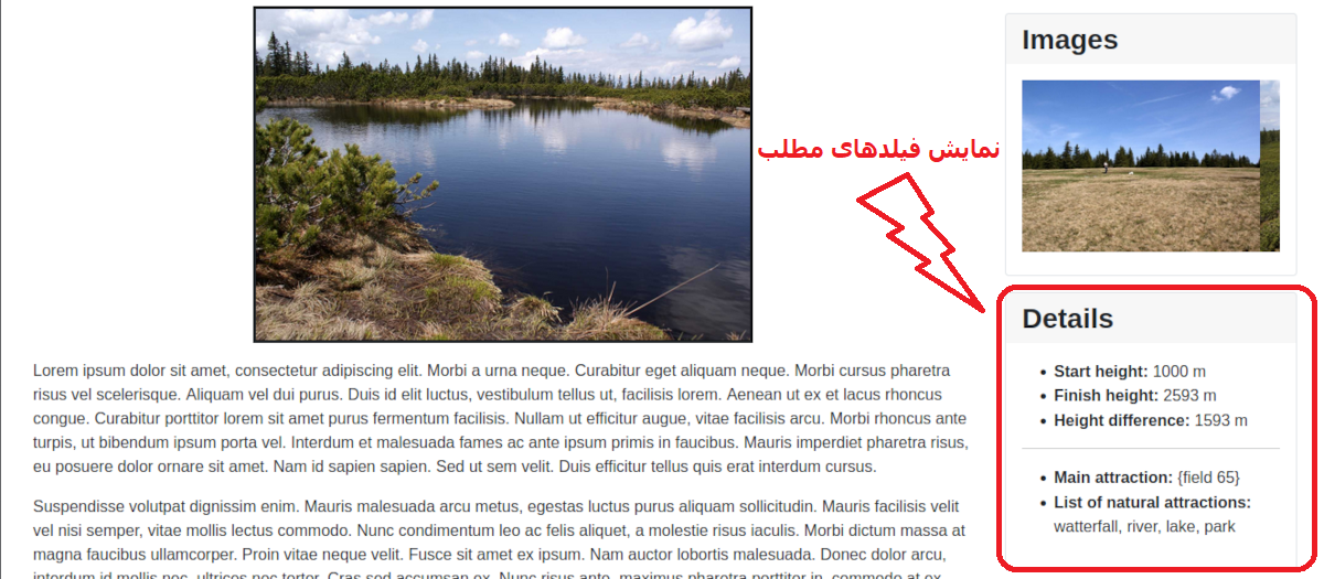 دمو ماژول فیلدهای سفارشی