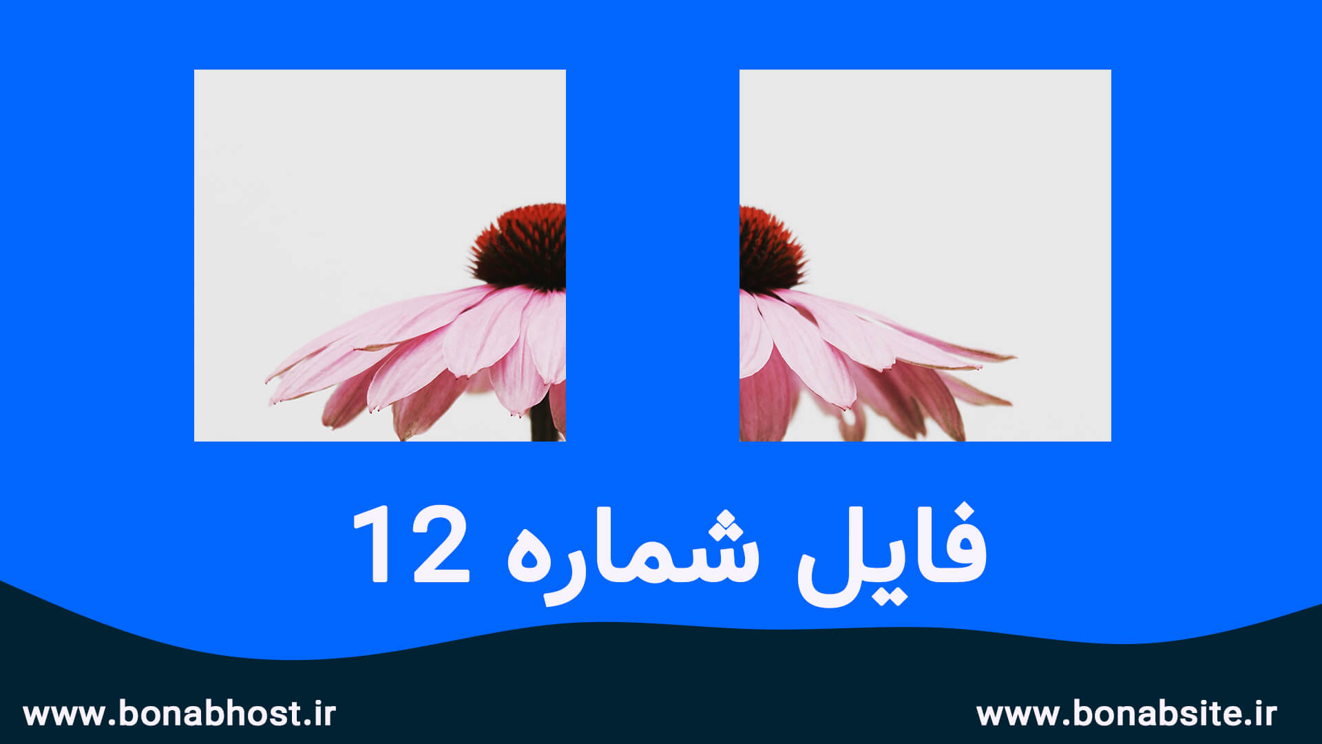 اسلاید تصاویر اینستاگرام