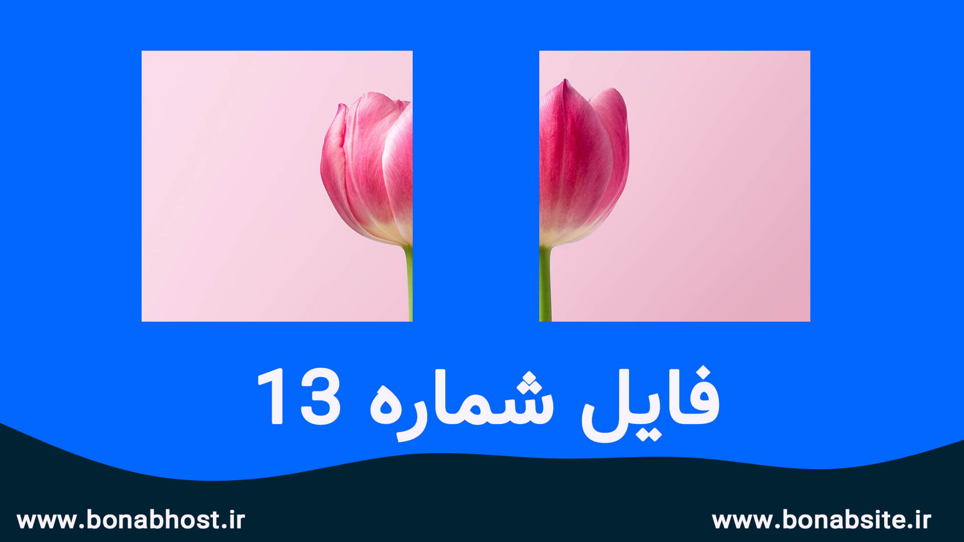 تصاویر اسلایدی