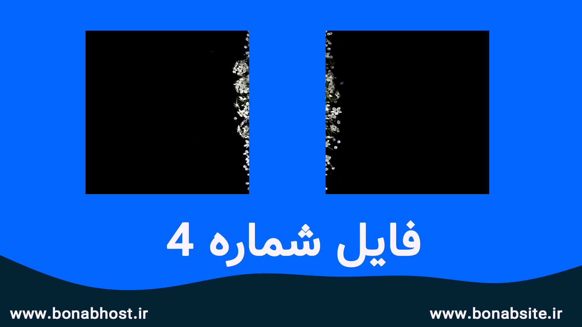 اسلاید تصاویر اینستاگرام